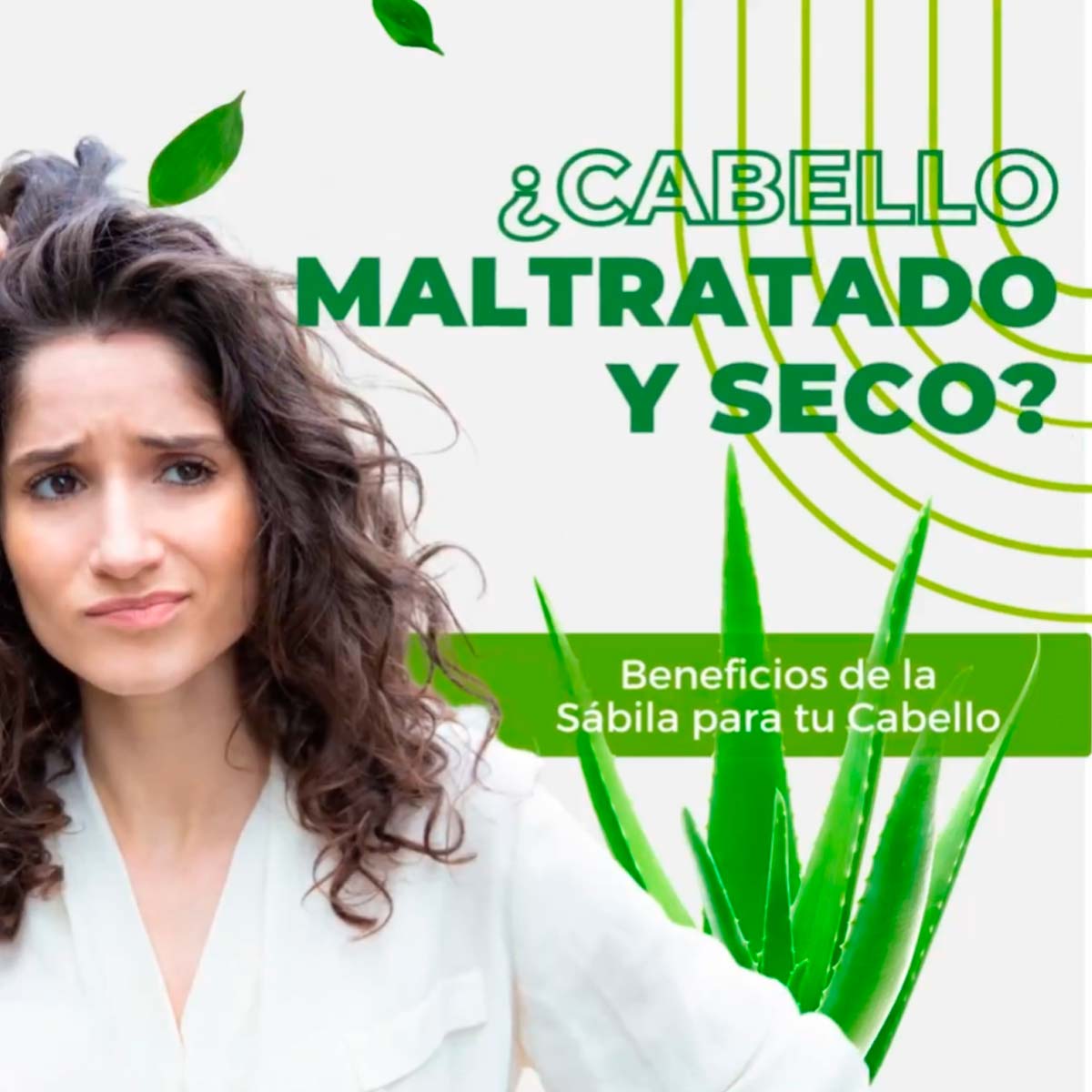 Shampoo Ortin Capillaire con Sábila x 1 litro