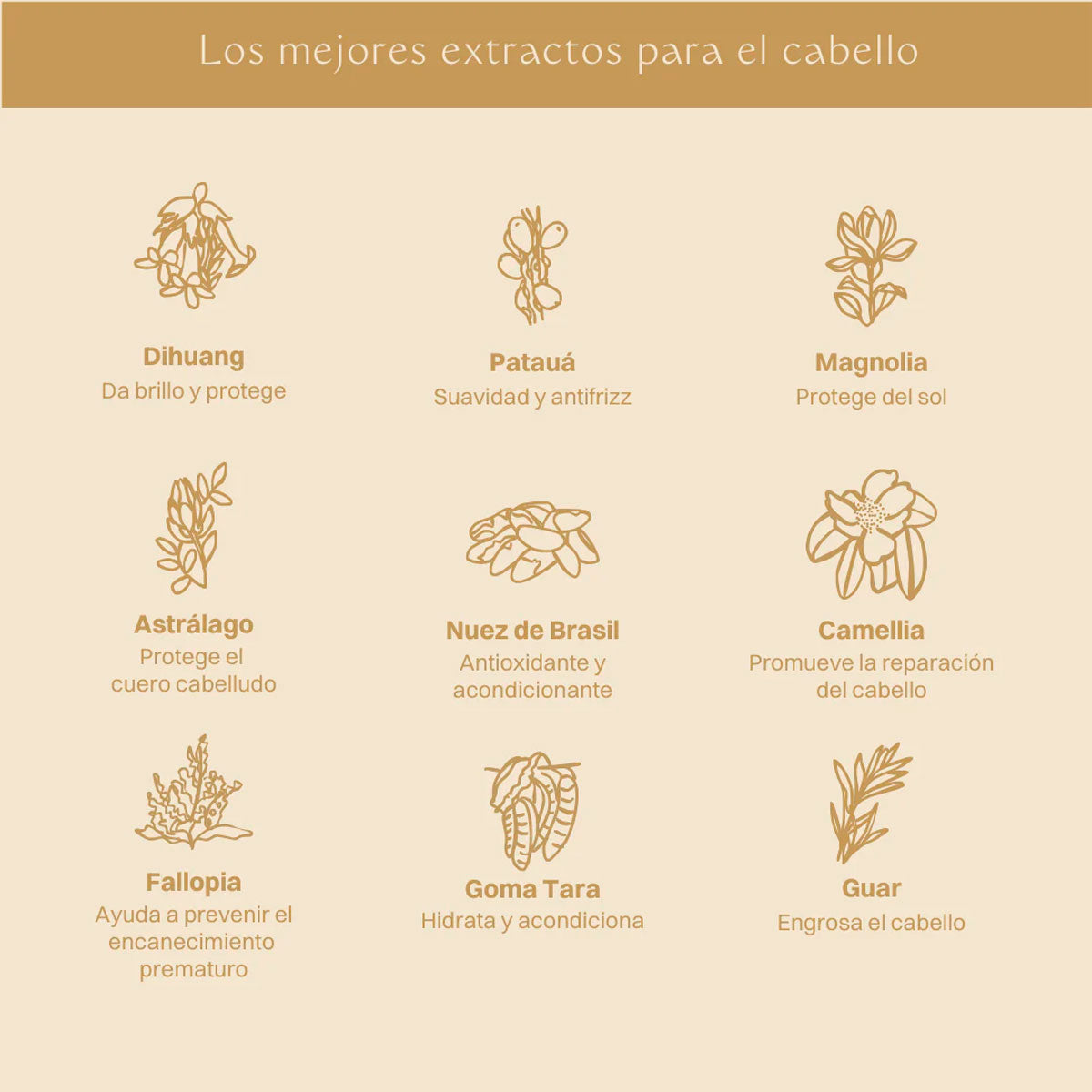 Acondicionador Fátima 100% Natural - Repara e Hidrata x 435ml