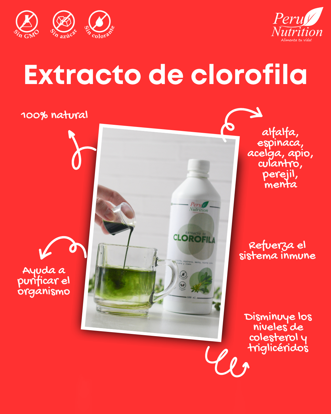 Extracto de Clorofila x 600ml