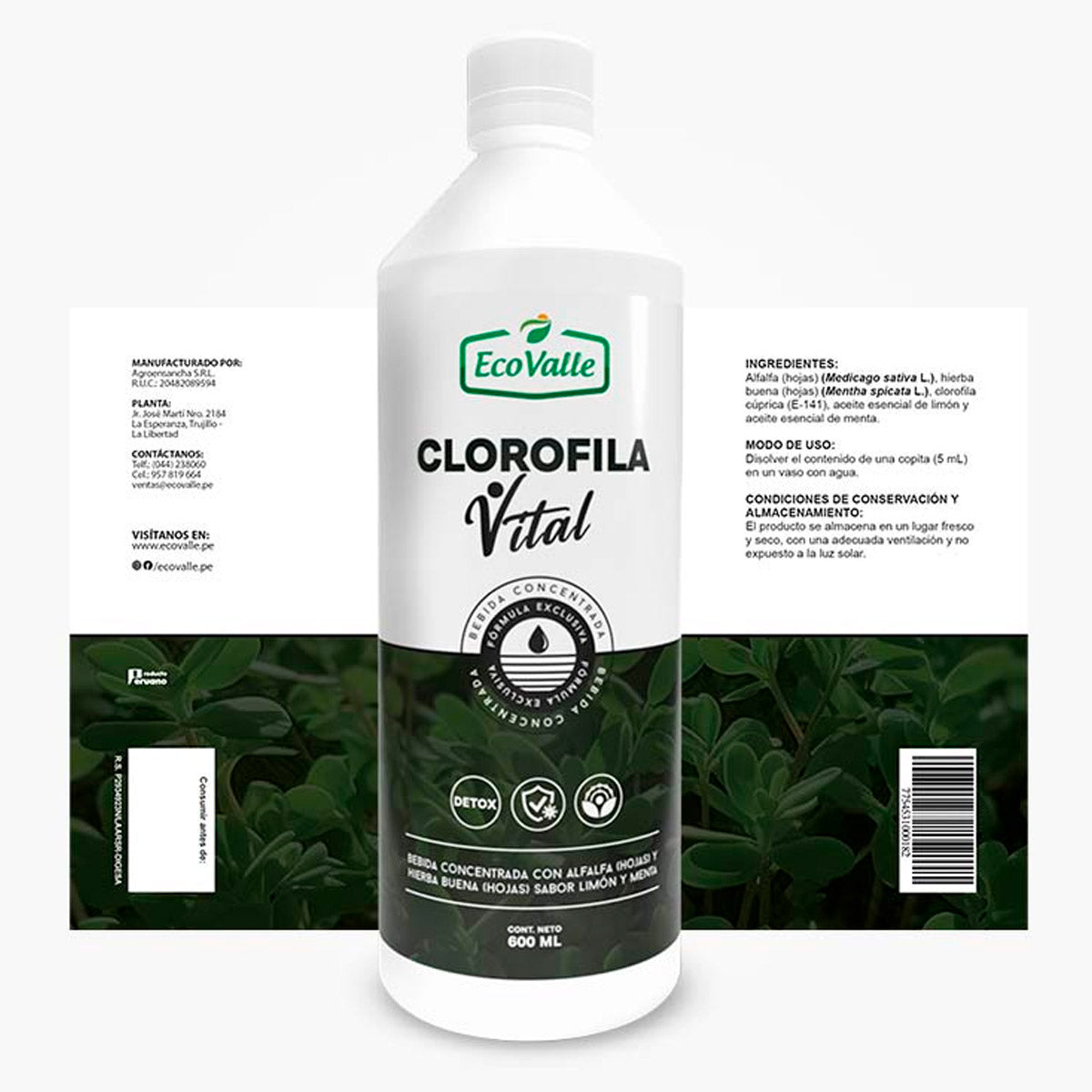 Clorofila Vital con Alfalfa, Hierba Buena, Menta y Limón x 600ml – Detox, Energía y Digestión
