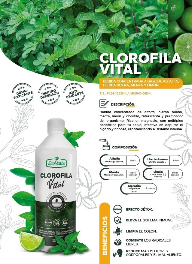 Clorofila Vital con Alfalfa, Hierba Buena, Menta y Limón x 600ml – Detox, Energía y Digestión