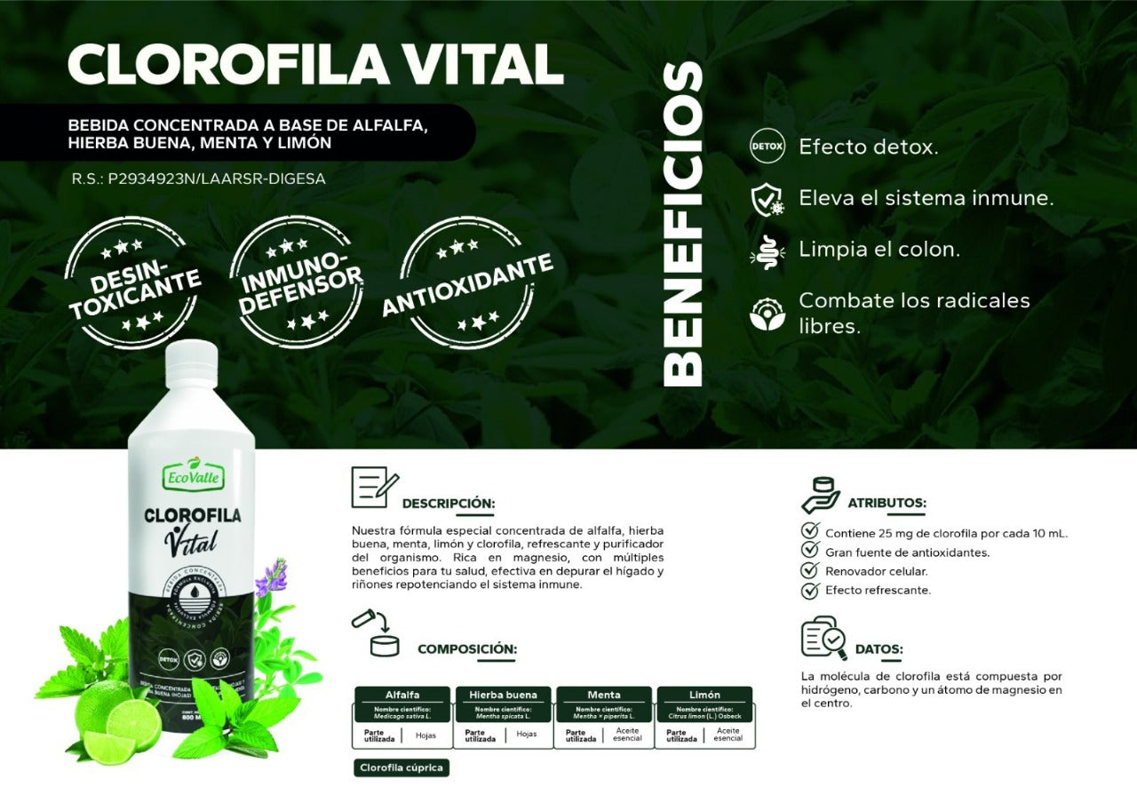 Clorofila Vital con Alfalfa, Hierba Buena, Menta y Limón x 600ml – Detox, Energía y Digestión