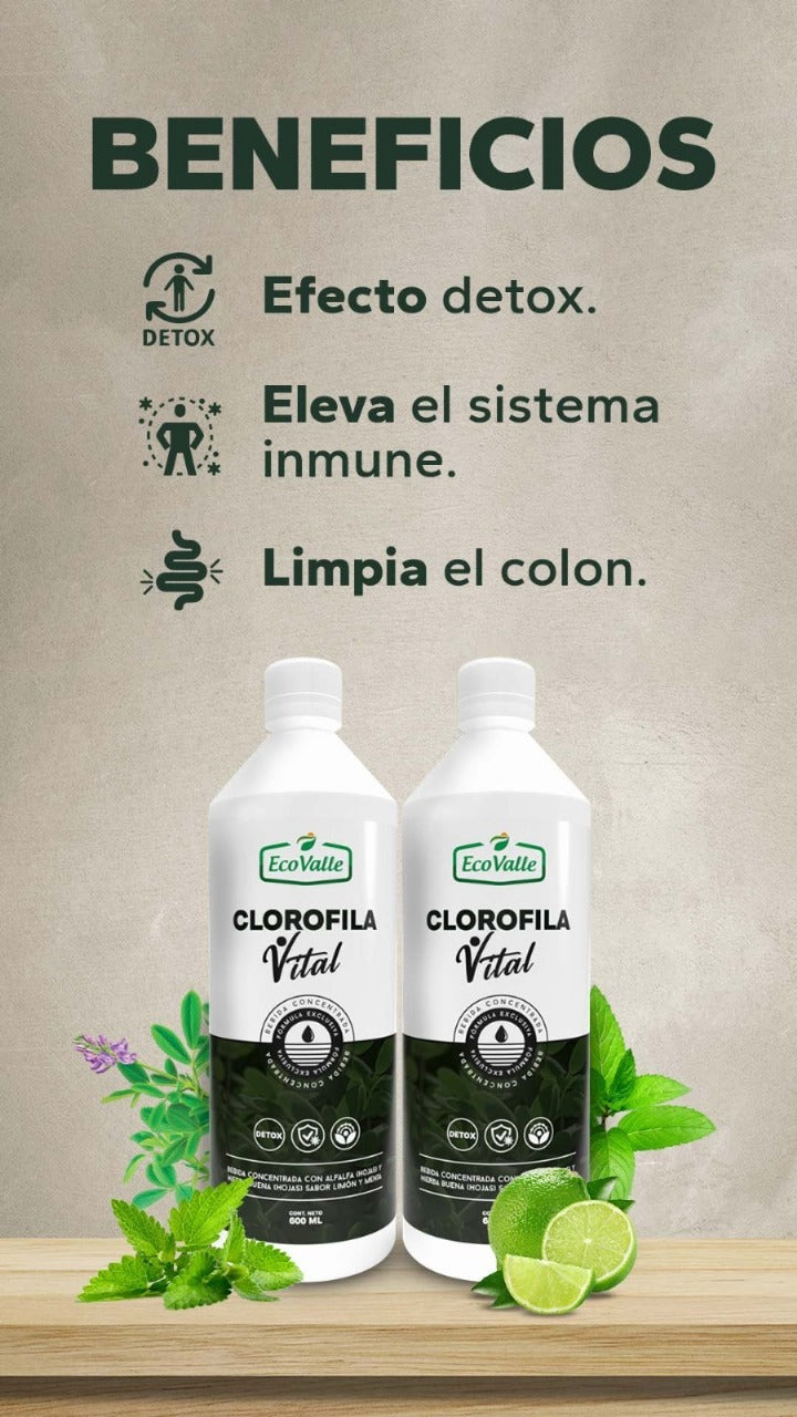 Clorofila Vital con Alfalfa, Hierba Buena, Menta y Limón x 600ml – Detox, Energía y Digestión