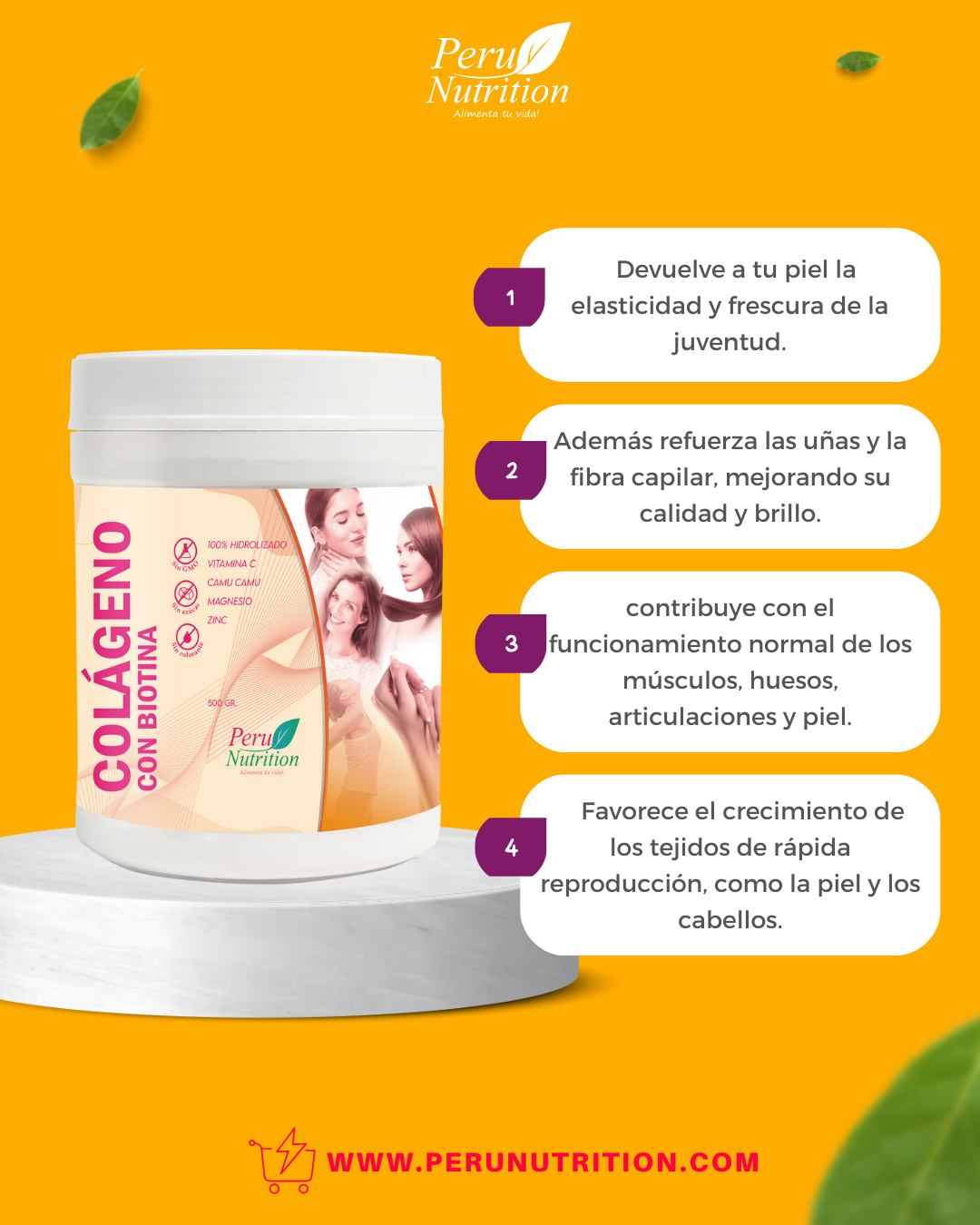 Colágeno Hidrolizado con Biotina, Magnesio y Zinc x 500g