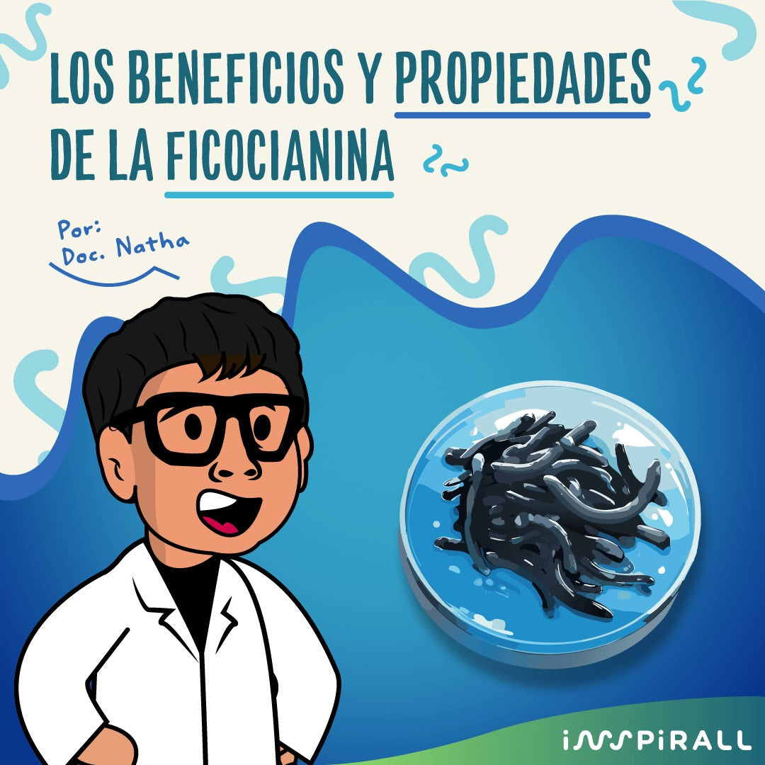 Fico Crispy – Espirulina Premium Crunchie x 100g (Alta en Ficocianina y Proteína)