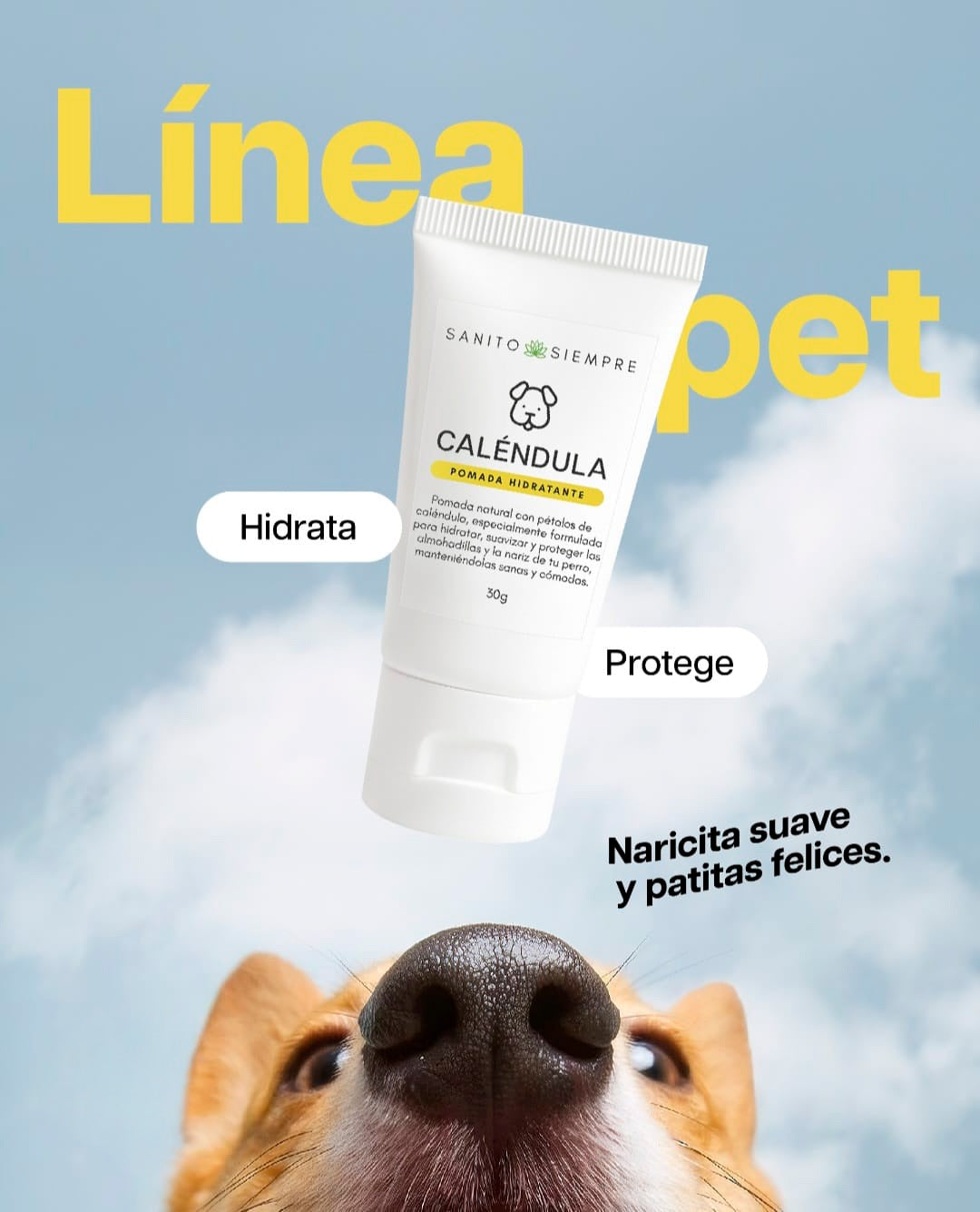 Pomada Hidratante Natural para Perros | Con Caléndula y Vitamina E – Nariz y Almohadillas
