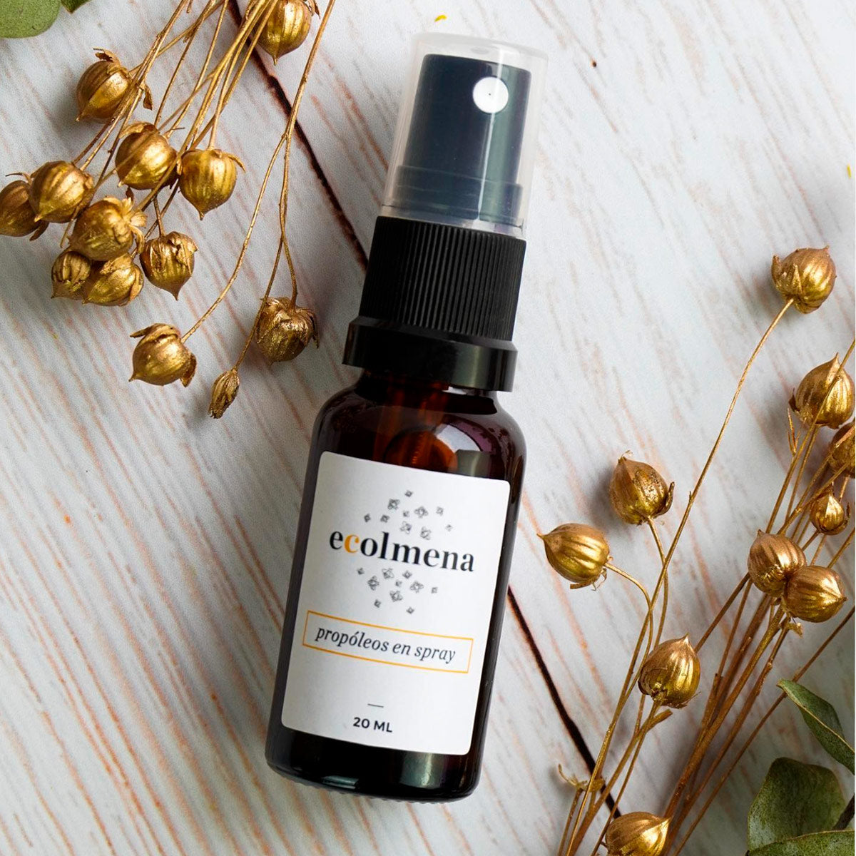 Propóleo en Spray x 20ml