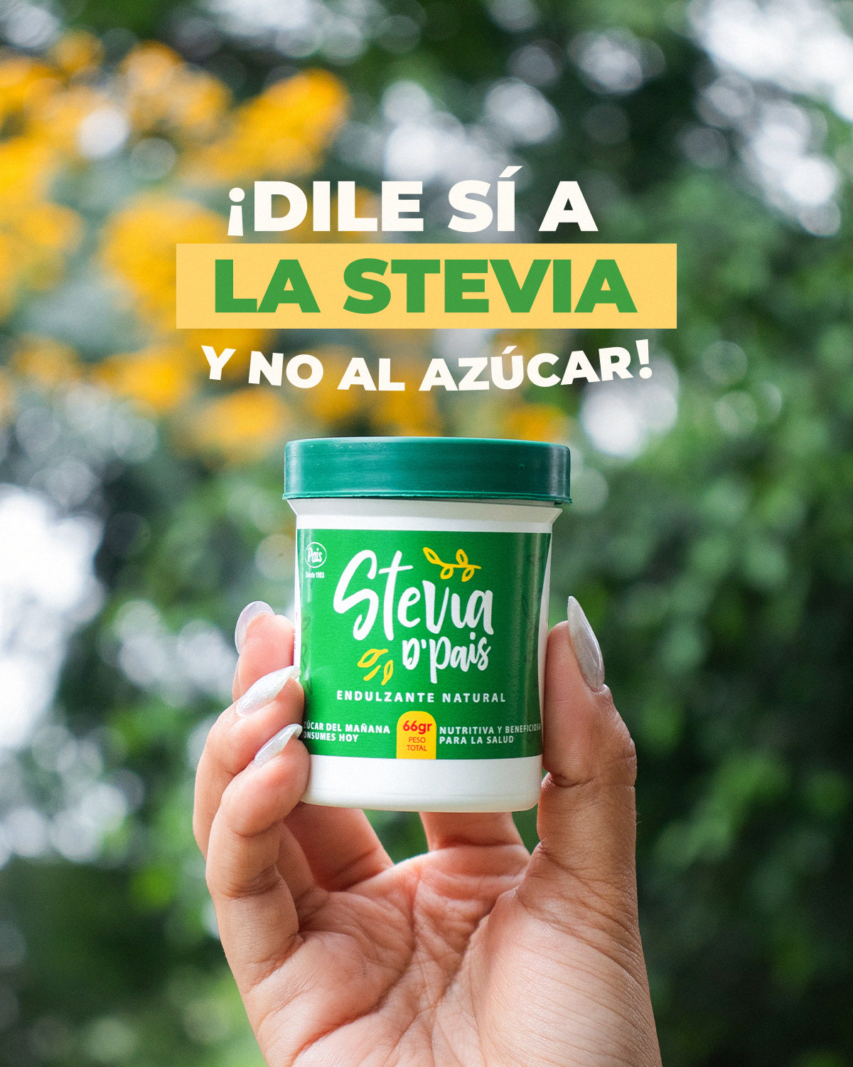 Stevia D´Pais 100% Pura en Polvo x 66g | Endulzante Natural Sin Calorías y Libre de Aditivos