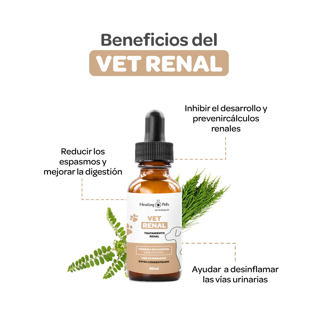 Vet Renal – Fórmula para la Salud Renal en Perros y Gatos | Cálculos, Infecciones y Vías Urinarias