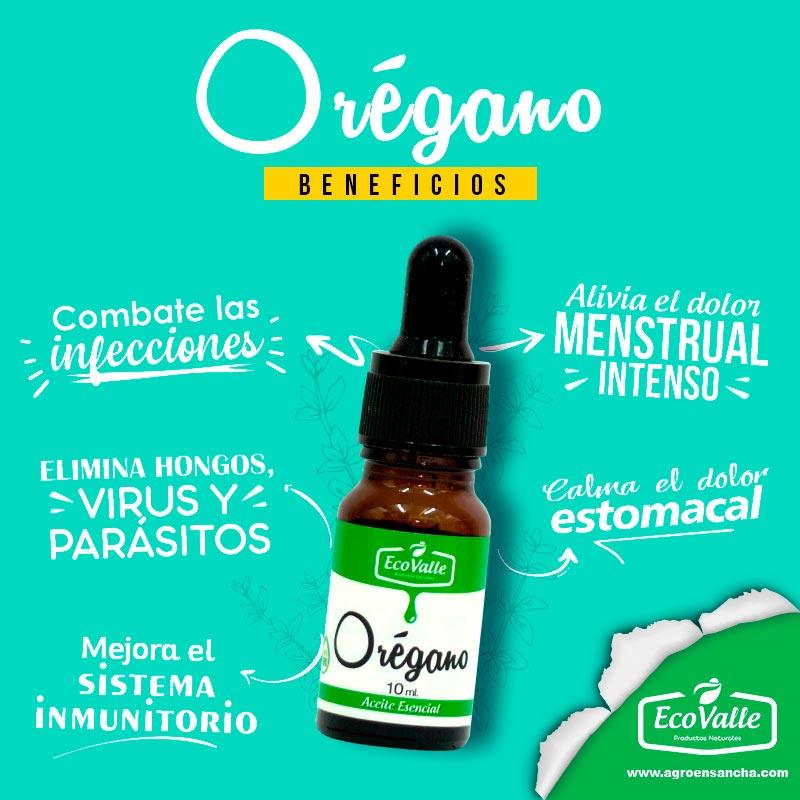 aceite-oregano-3