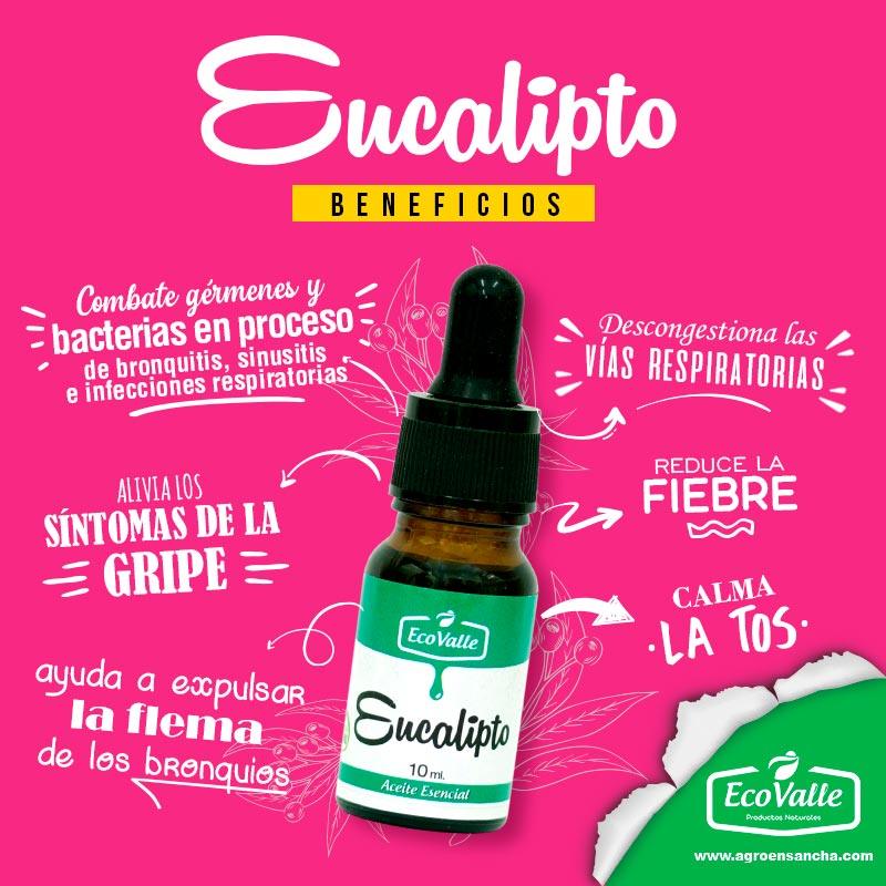 Aceite Esencial de Eucalipto x 10ml - Tikafarma
