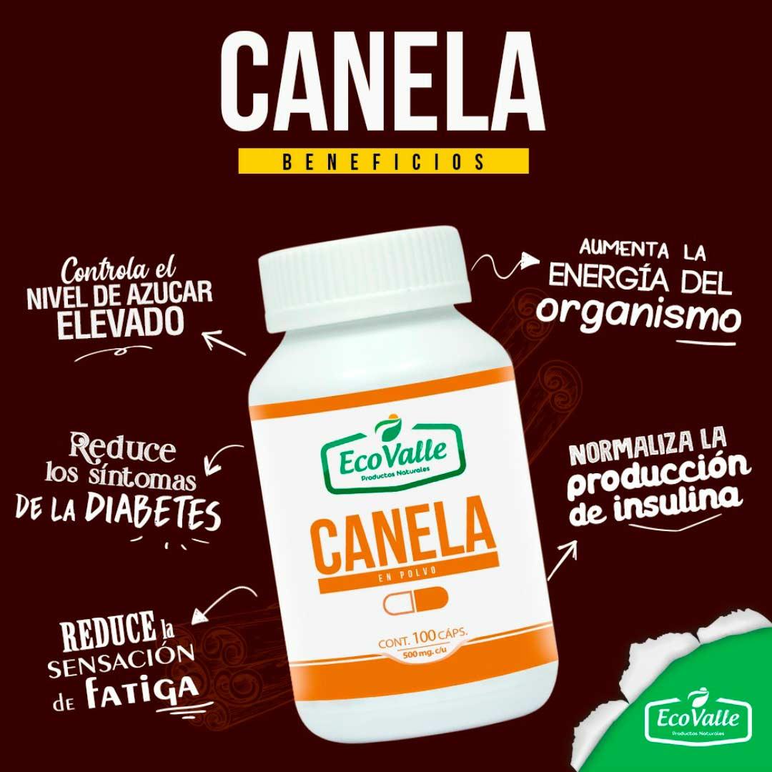 Canela en cápsulas (100 x 500mg) - Tikafarma