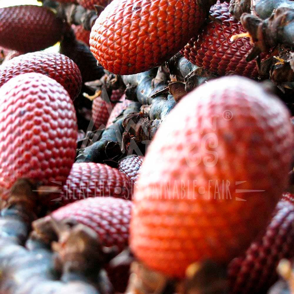 Aceite de Aguaje x 30ml