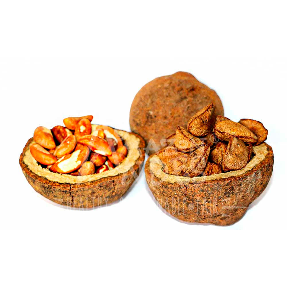 Aceite de Castaña (Selenio Natural) en cápsulas (100 x 500mg)