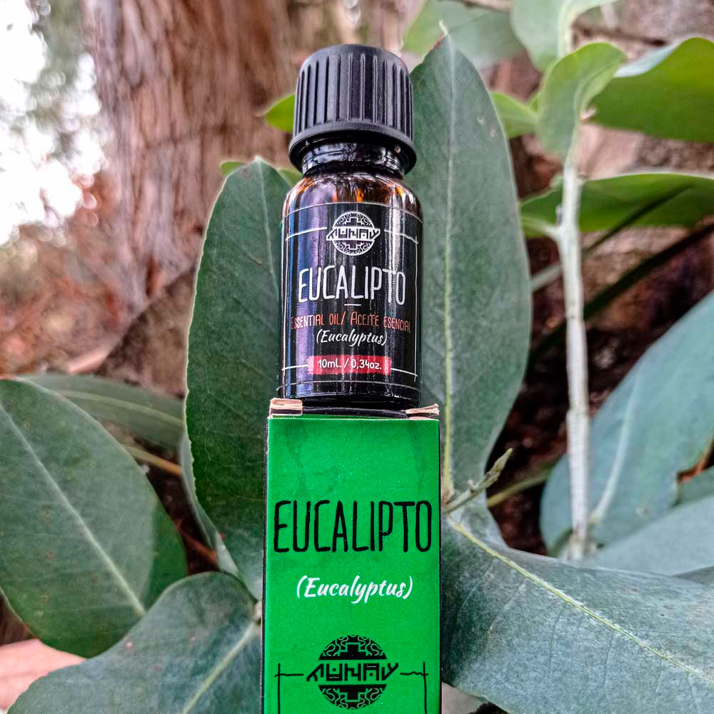 Aceite Esencial de Eucalipto x 10ml