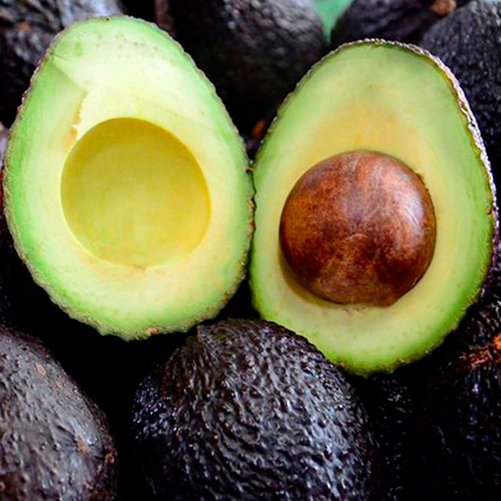 Aceite de Palta x 30ml