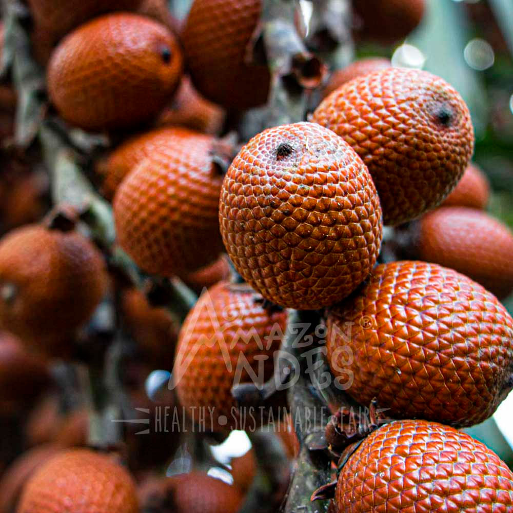 Aguaje en cápsulas (100 x 400mg)