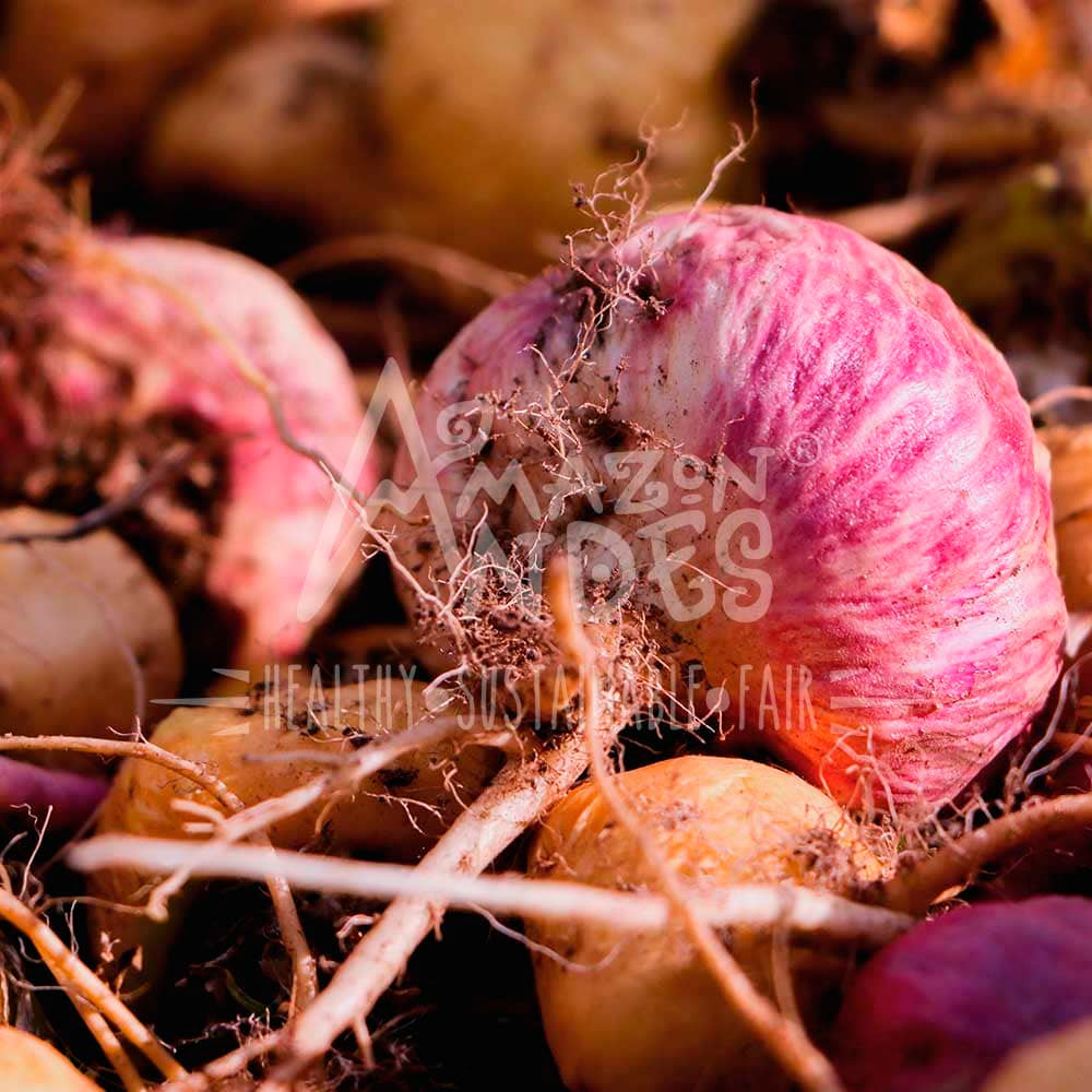 Aguaje y Maca Roja en cápsulas (120 x 500mg)