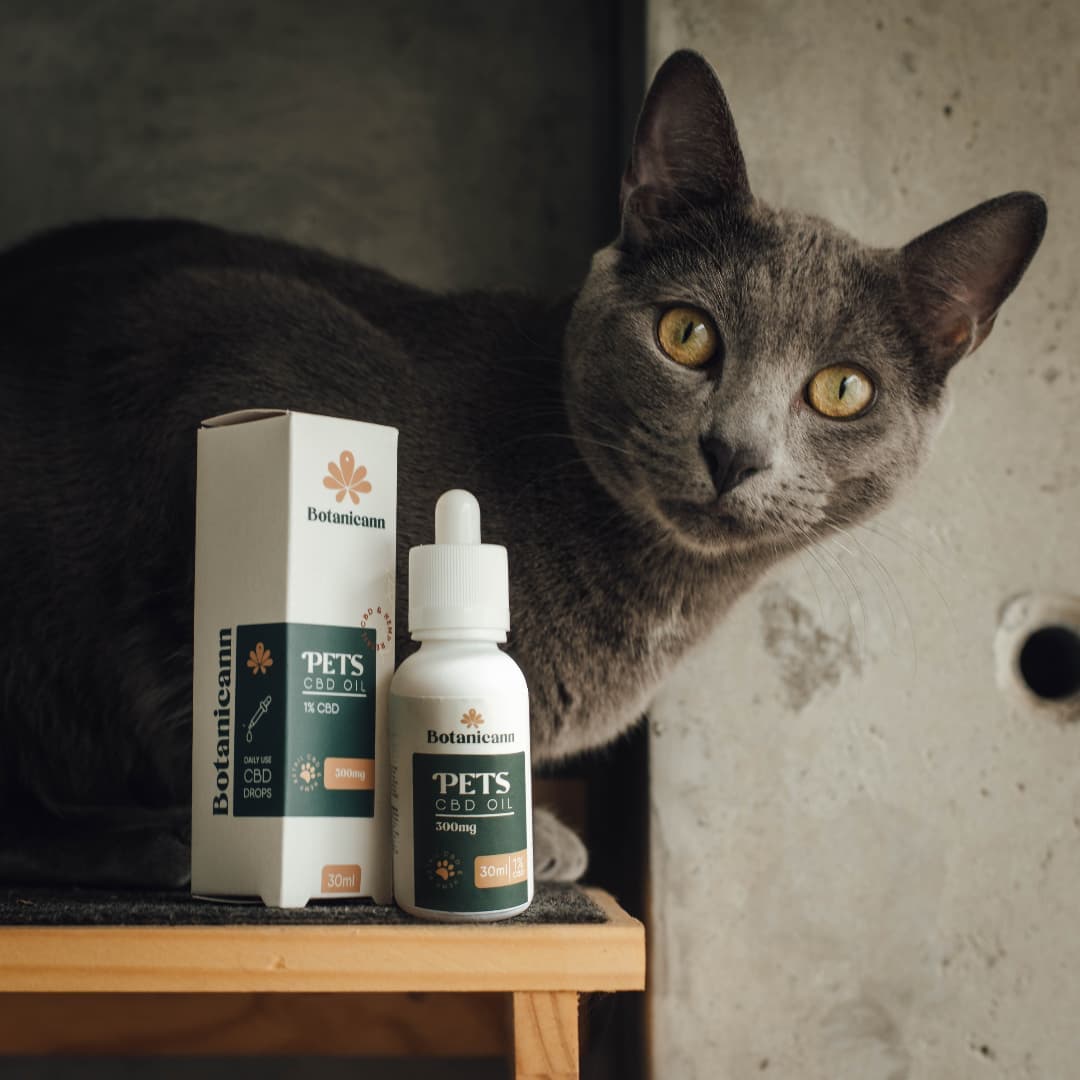 Botanicann Pets CBD Oil 100mg x 10ml (1%) - Razas Pequeñas