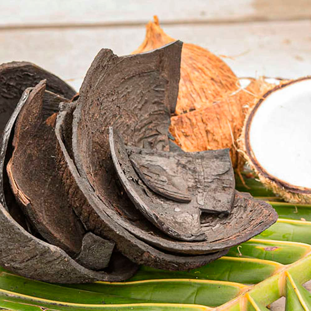 Carbón Activado de Coco en cápsulas (100 x 250mg)