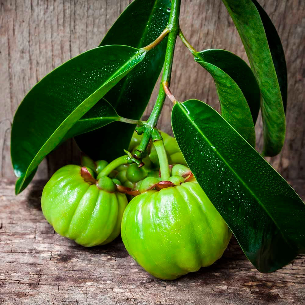 Garcinia Cambogia + L-Carnitina en cápsulas (120 x 500mg)