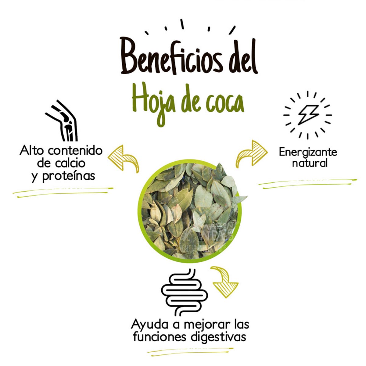 Hoja de Coca en cápsulas (120 x 500mg)