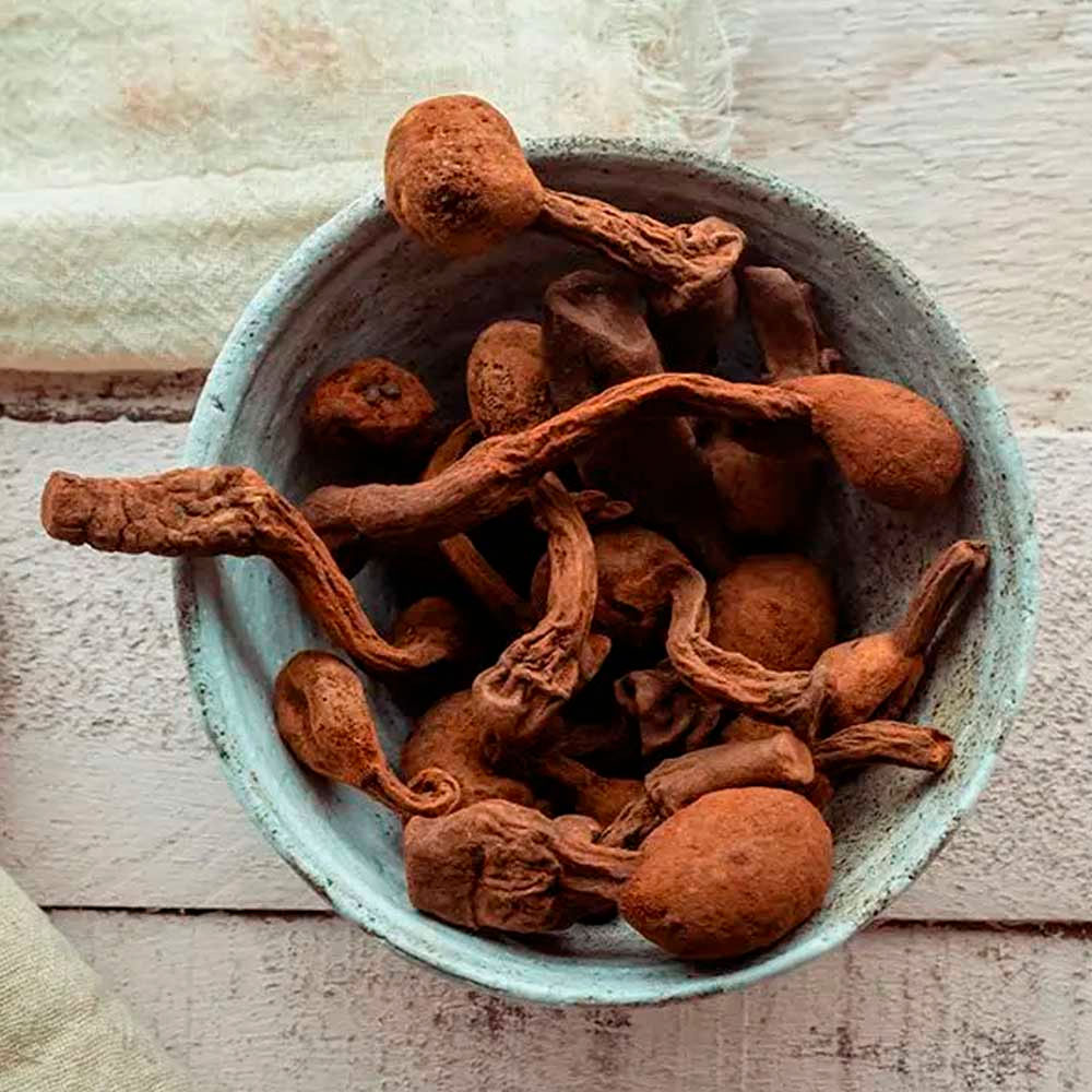 Huanarpo Macho y Maca Negra en cápsulas (120 x 500mg)