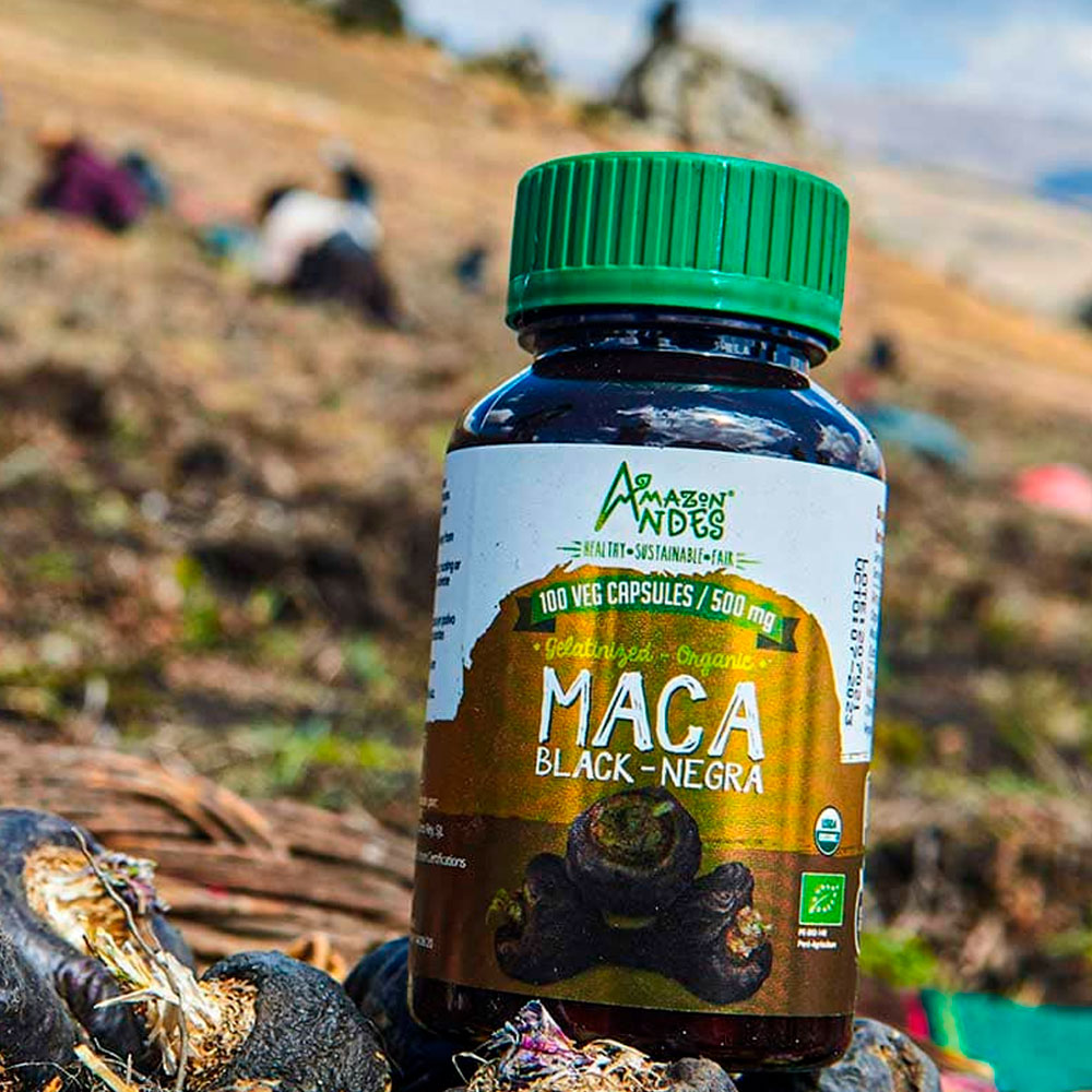 Maca Negra Orgánica Gelatinizada en cápsulas (100 x 500mg)