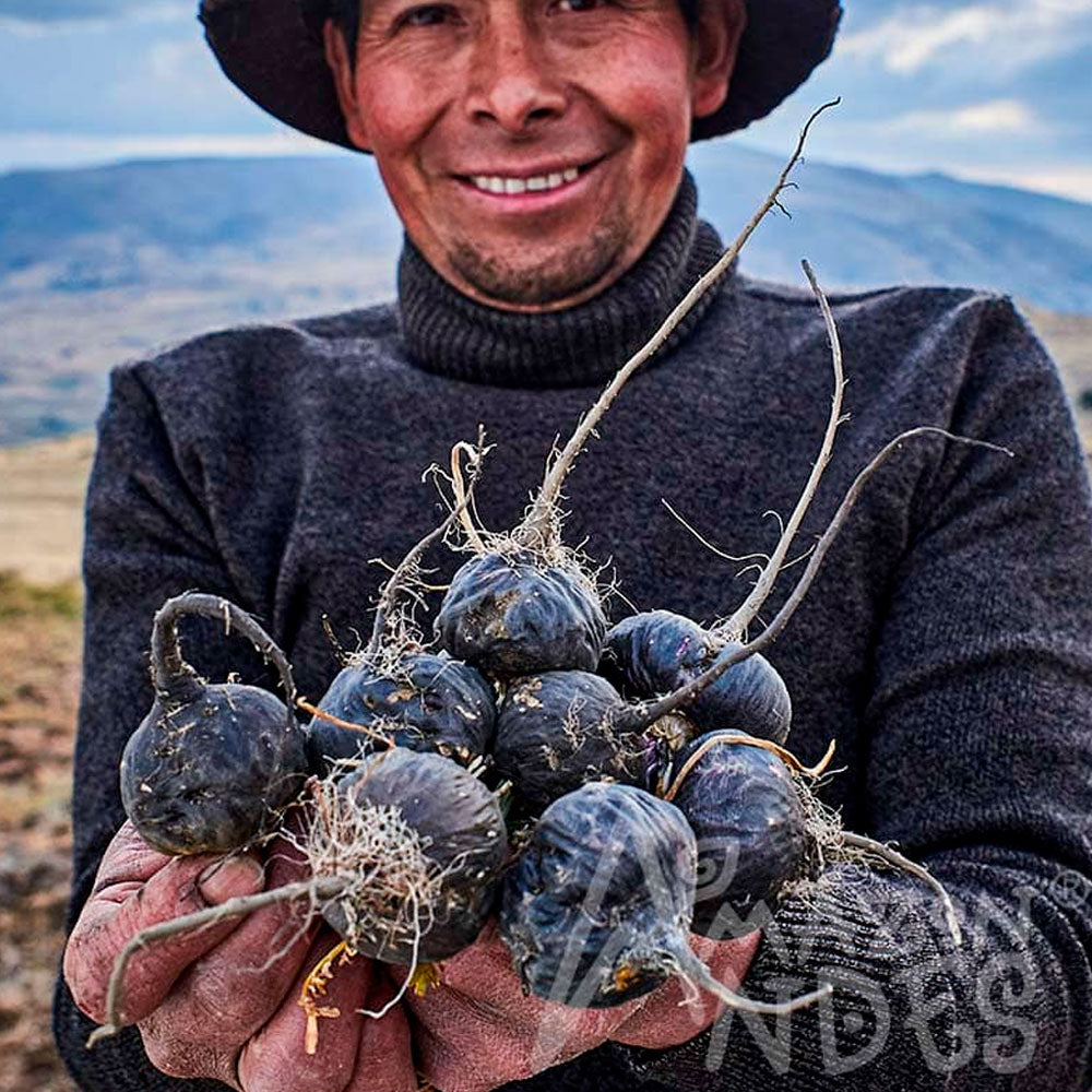 Maca Negra Orgánica Gelatinizada en polvo x 200g