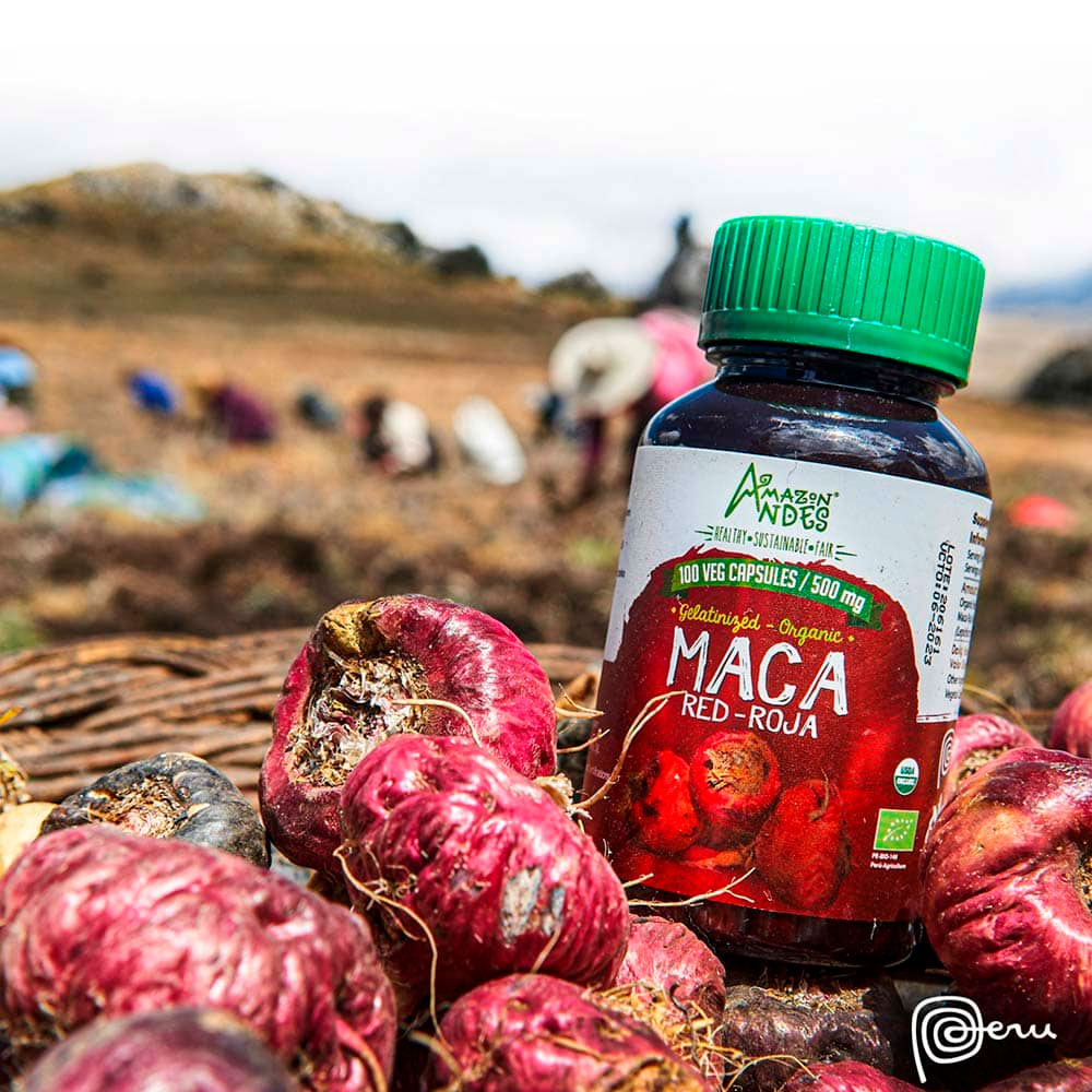 Maca Roja Orgánica Gelatinizada en cápsulas (100 x 500mg)