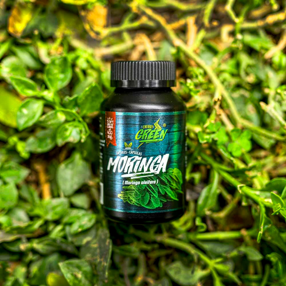 Moringa en cápsulas (120 x 400mg)