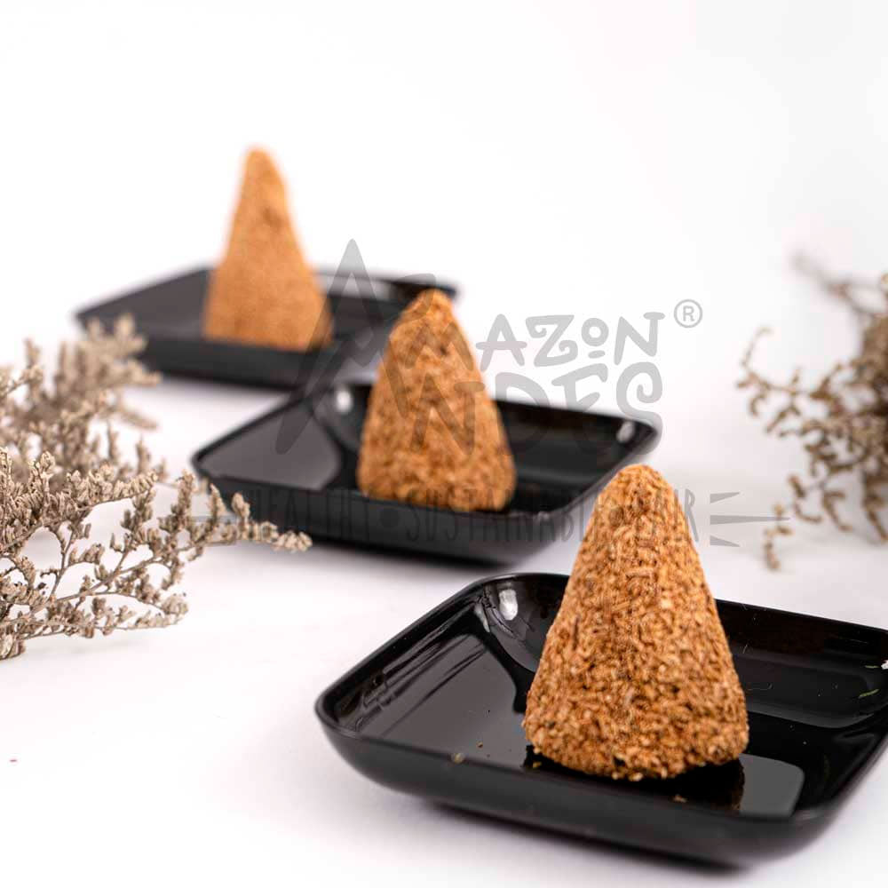 Conos de Palo Santo x 20u