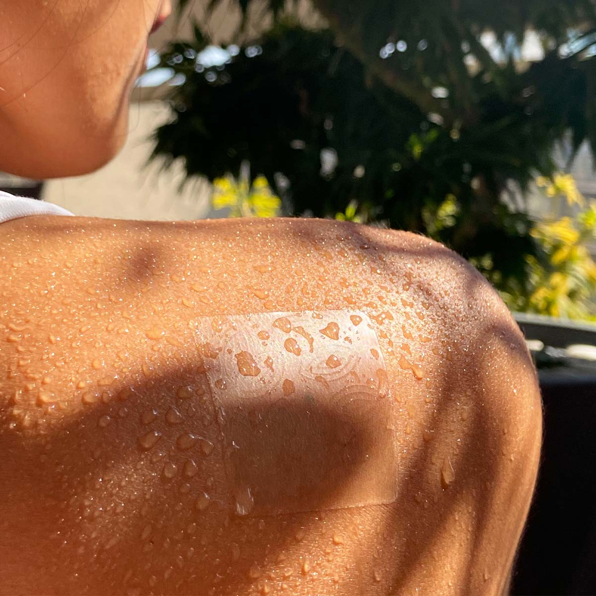 Parches para Dolores Musculares 120mg CBD x 6u