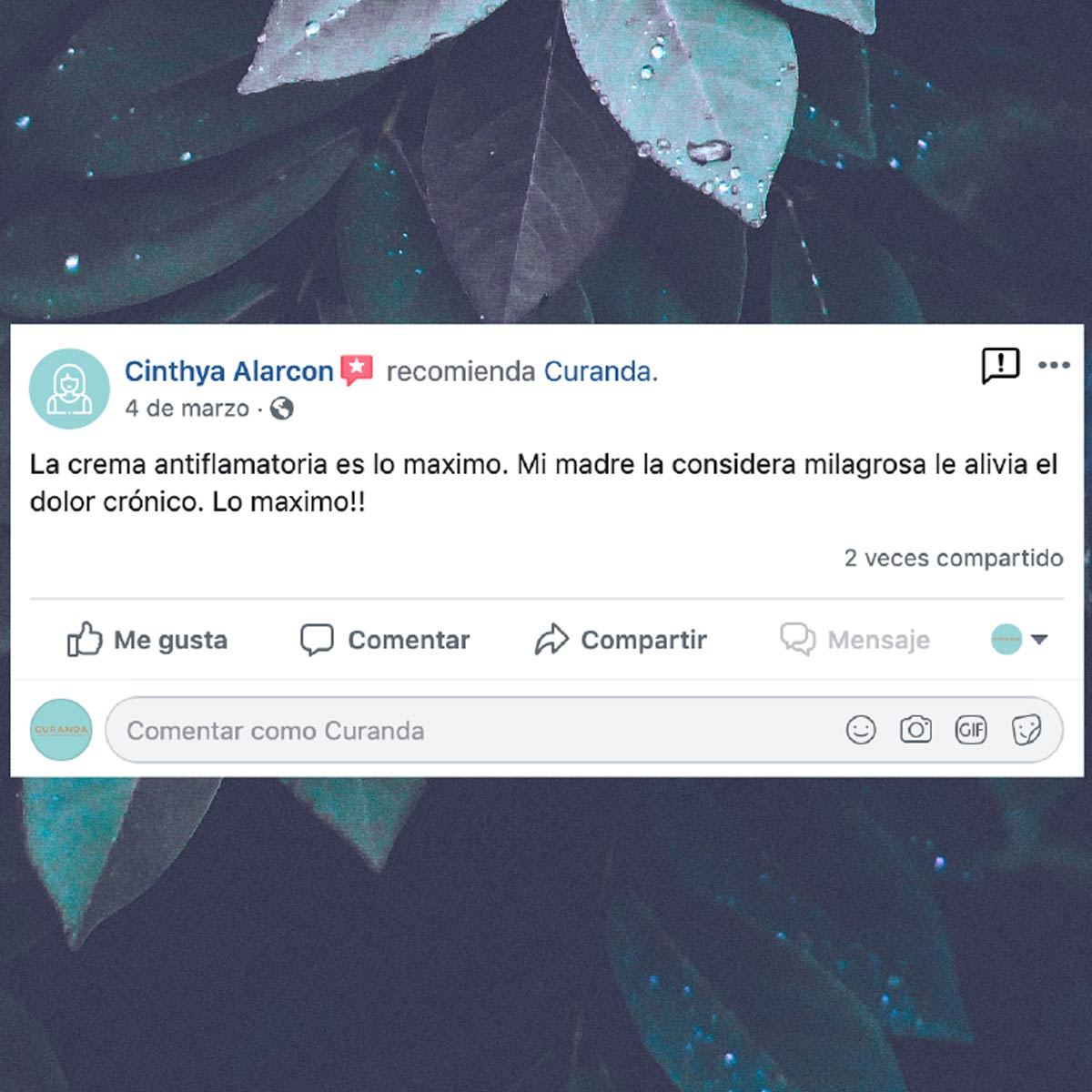 Pomada Antiinflamatoria Natural con Eucalipto, Árnica y Árbol de Té – Alivio de Dolores Musculares y Articulares