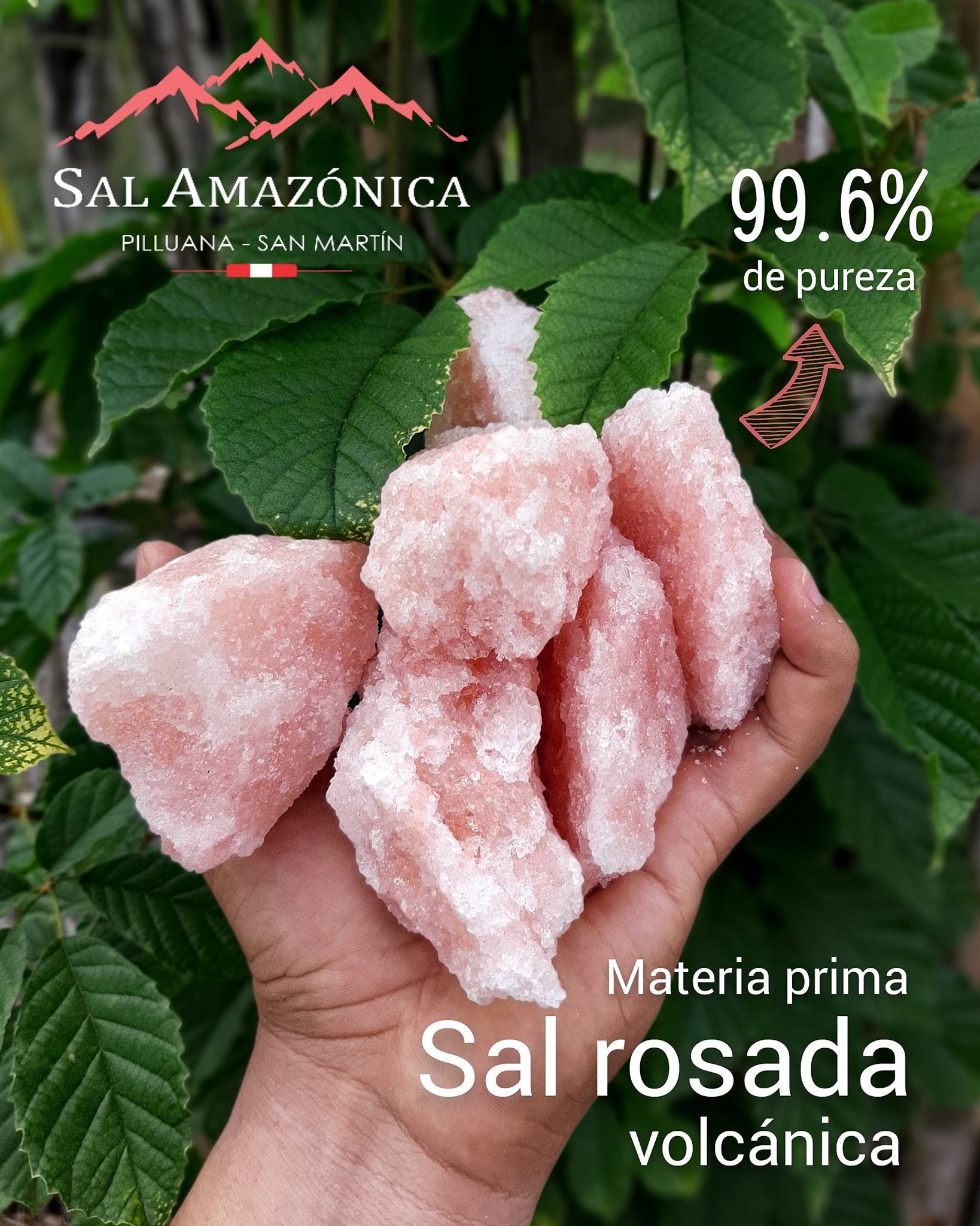 Sal Rosada Amazónica Sin Yodo Ni Flúor x 700g