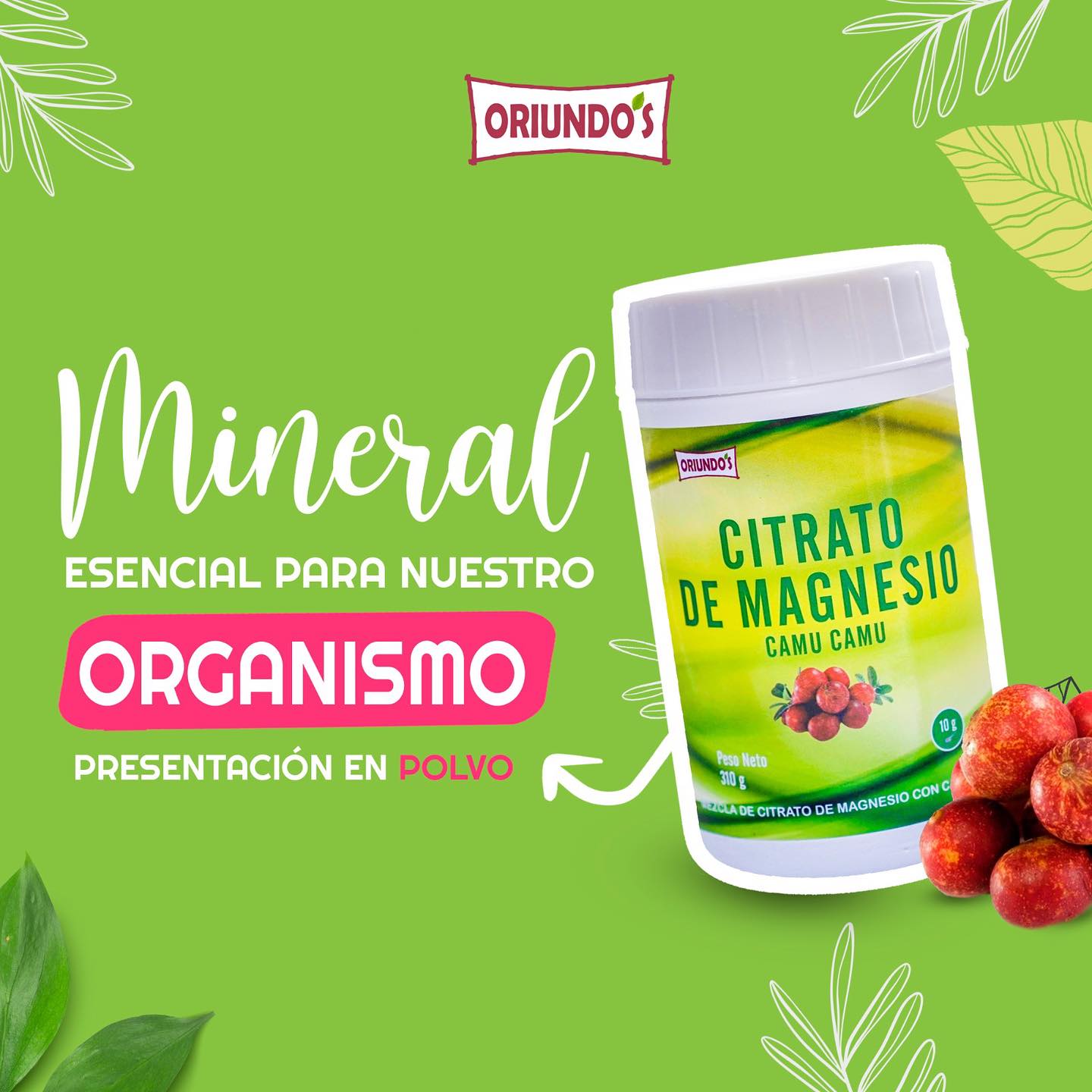 Citrato de Magnesio en Polvo x 310g | Alta Absorción con Camu Camu – Procedencia Americana