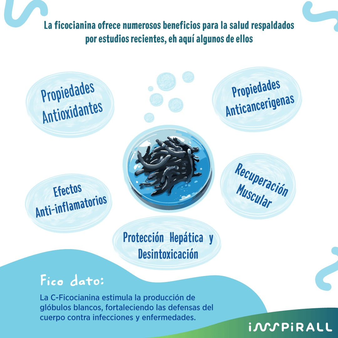 Fico Crispy – Espirulina Premium Crunchie x 100g (Alta en Ficocianina y Proteína)