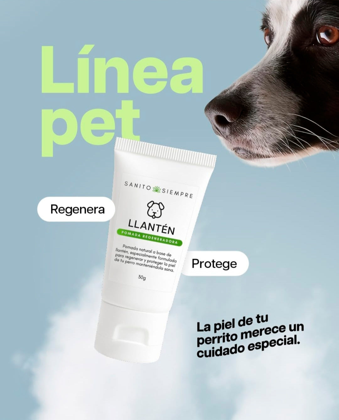 Pomada Regeneradora Natural para Perros | Con Llantén y Vitamina E – Hidratación y Protección