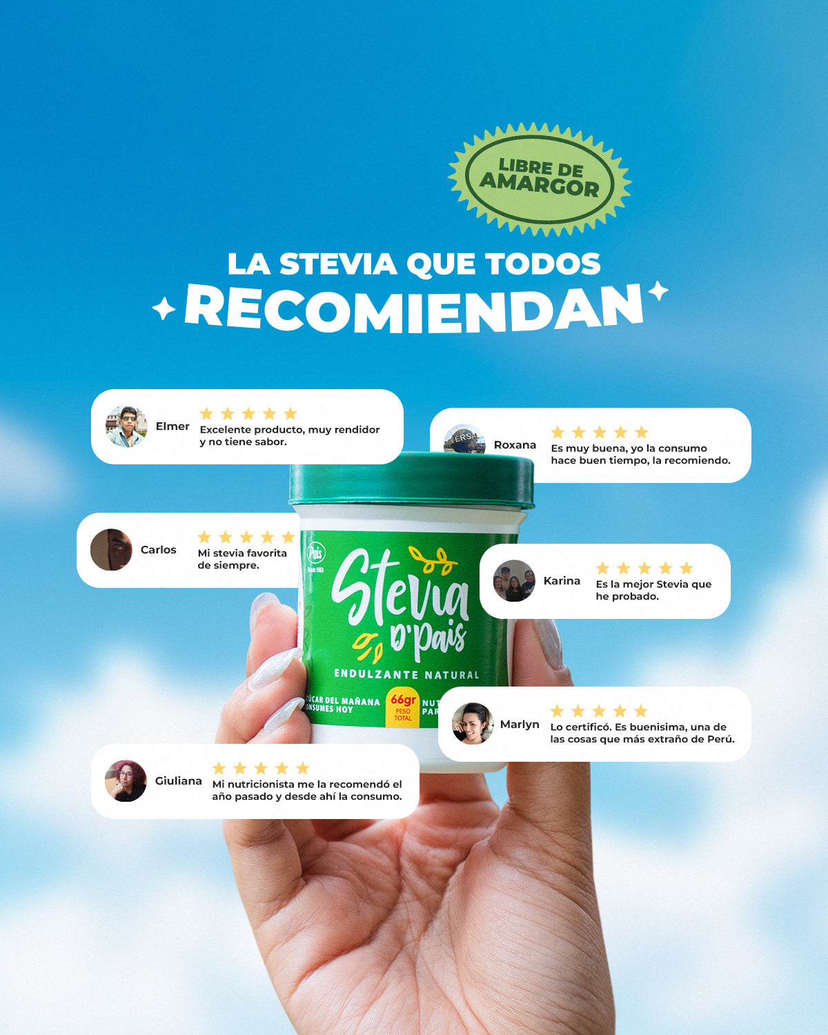 Stevia D´Pais 100% Pura en Polvo x 66g | Endulzante Natural Sin Calorías y Libre de Aditivos