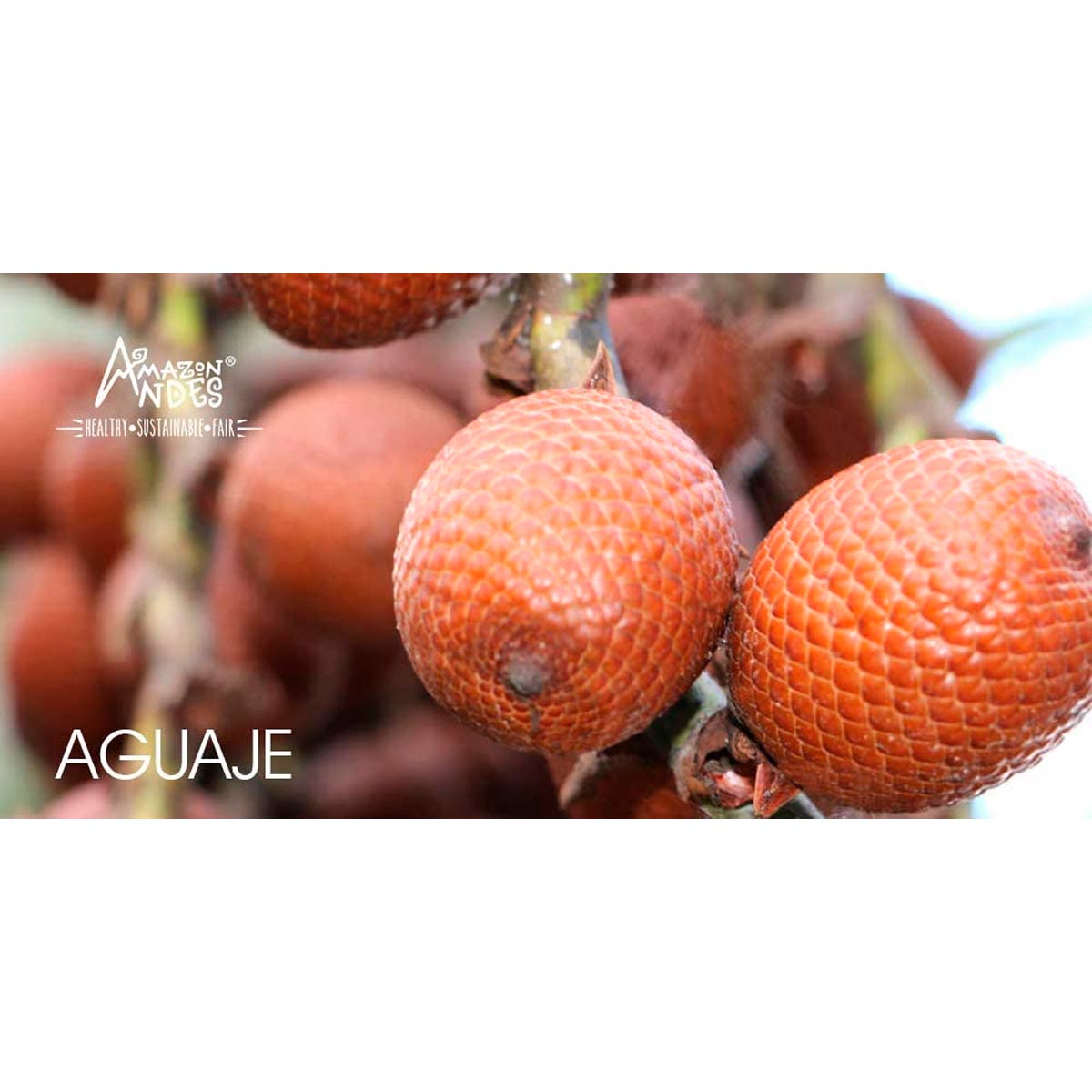 Aguaje en polvo x 150g