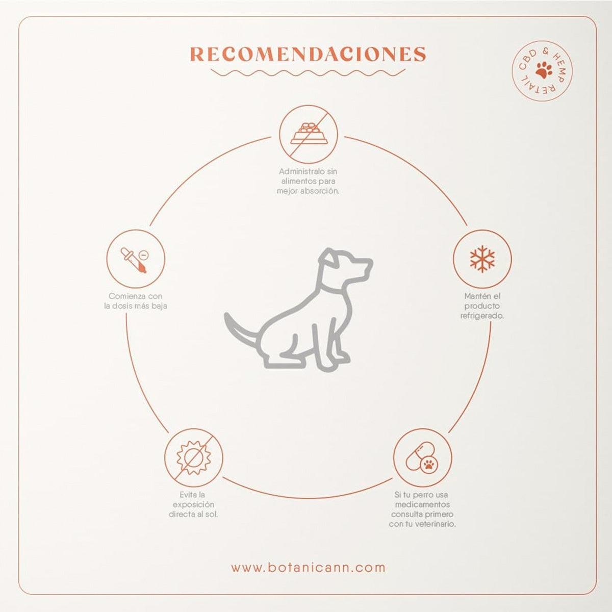 Botanicann Pets CBD Oil 1000mg x 30ml (3.3%) - Razas Grandes