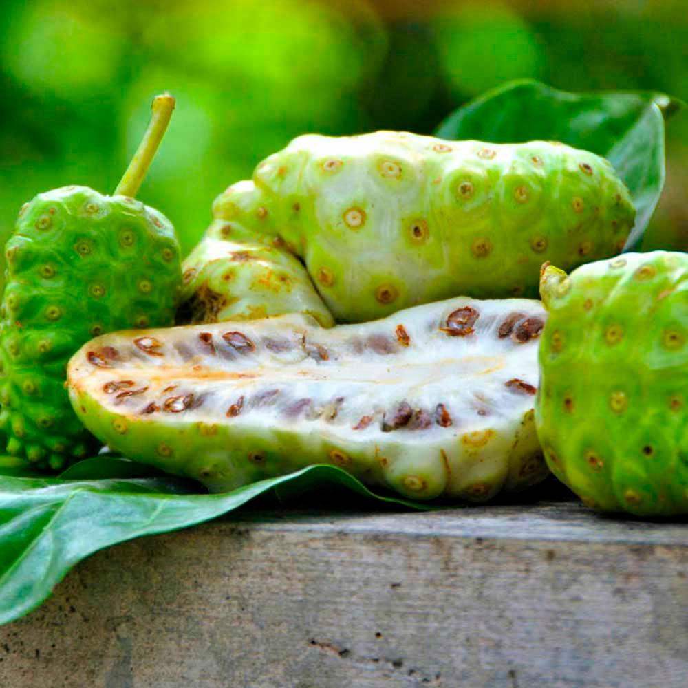 Noni en cápsulas (100 x 500mg)